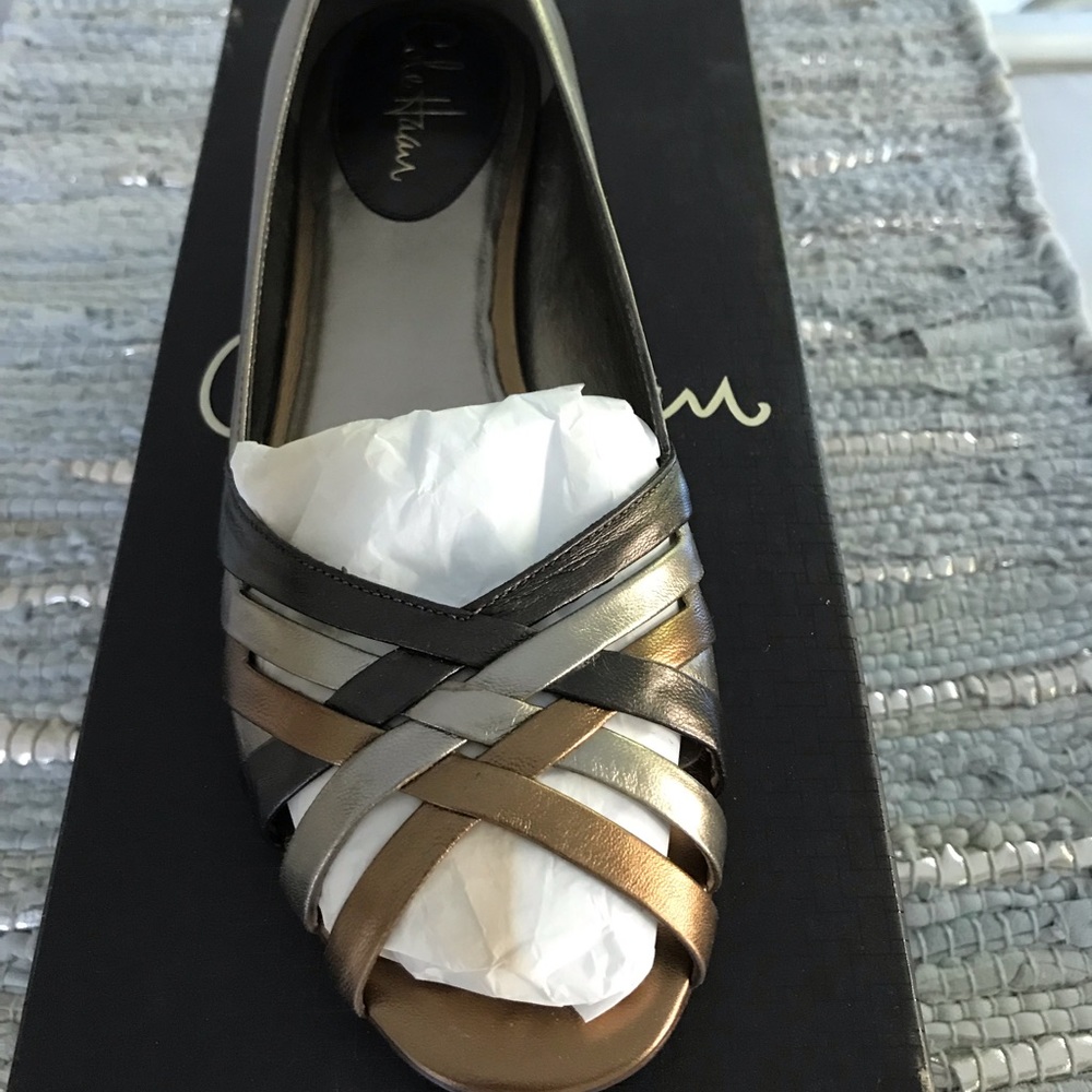 COLE HAAN Chloe Metallic Multi Ballet Flats